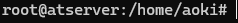 root@servername:/home/username#_